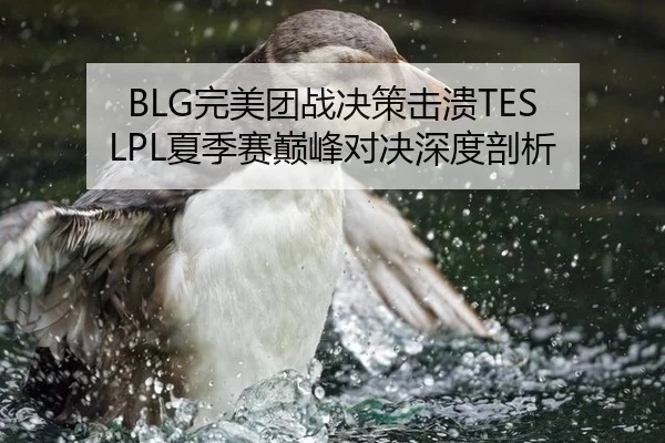 BLG完美团战决策击溃TES LPL夏季赛巅峰对决深度剖析